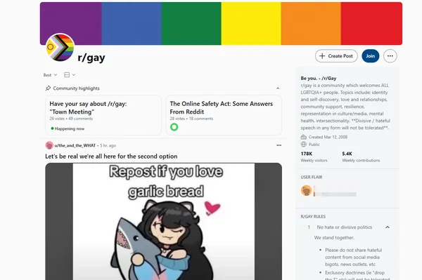 Reddit r/gay