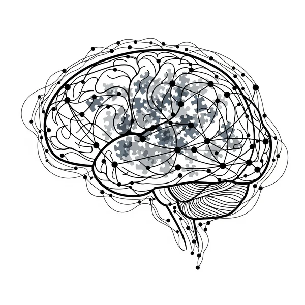 Brain with missing puzzle pieces showing sexuality complexity